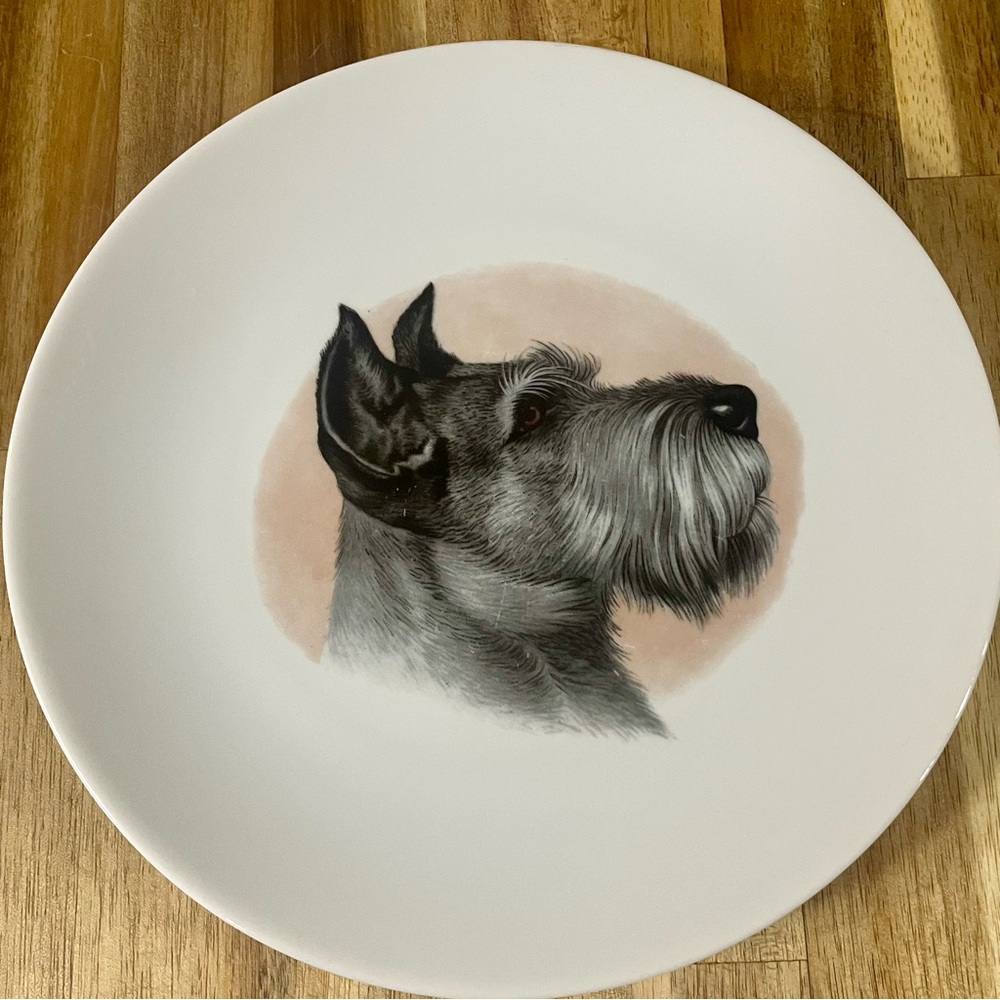 Vintage Schnauzer Dog Porcelain Plate Schumann Bavaria Arzberg Germany E&R 7.5”